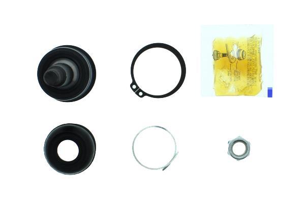 Rotule de suspension (Rotule de pivot) AISIN ref. JBJHO-006
